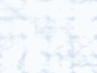 Glue Chip obscure-glass texture — fern and ice-crystal frost pattern