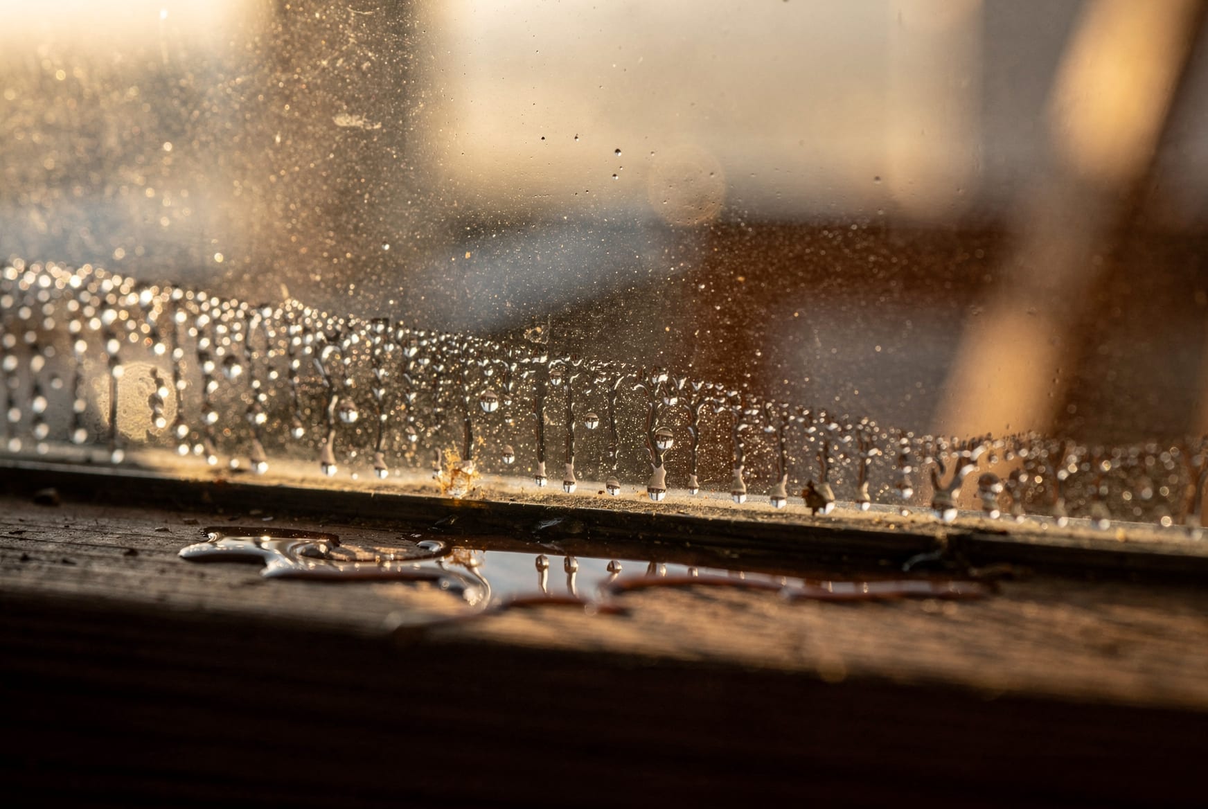 Beads of condensation gathered along the inside of a double-pane window at dawn, the room beyond soft and out of focus in warm early light.