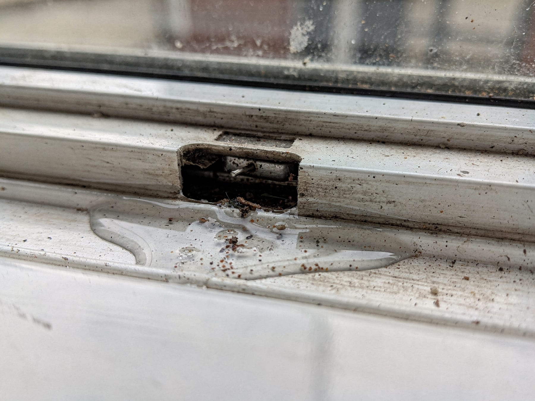 Macro of the bottom track of a white sliding window from inside, a shallow pool of rainwater standing in the channel and grit packed into the small drainage weep slot that should be letting it out.