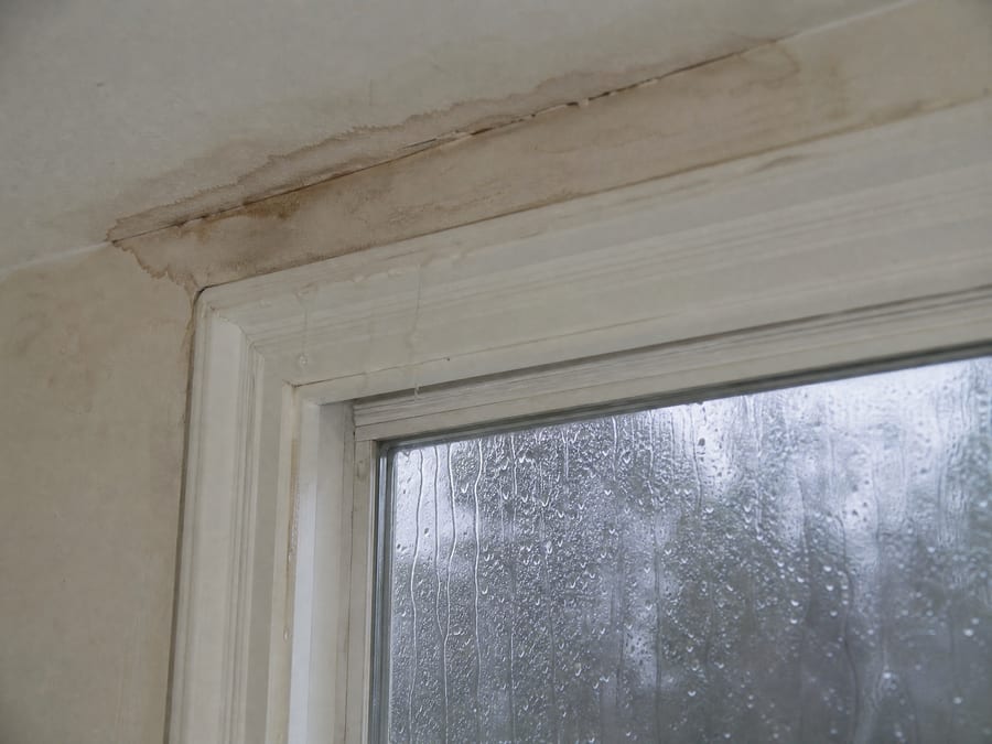 Interior top corner of a window where a brown water stain has spread across the wall and ceiling line ABOVE the head casing, with water tracking down the trim and the glass rain-streaked below — the entry point is higher than the window.