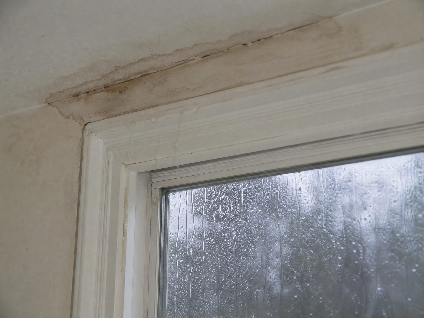 Interior top corner of a window where a brown water stain has spread across the wall and ceiling line ABOVE the head casing, with water tracking down the trim and the glass rain-streaked below — the entry point is higher than the window.