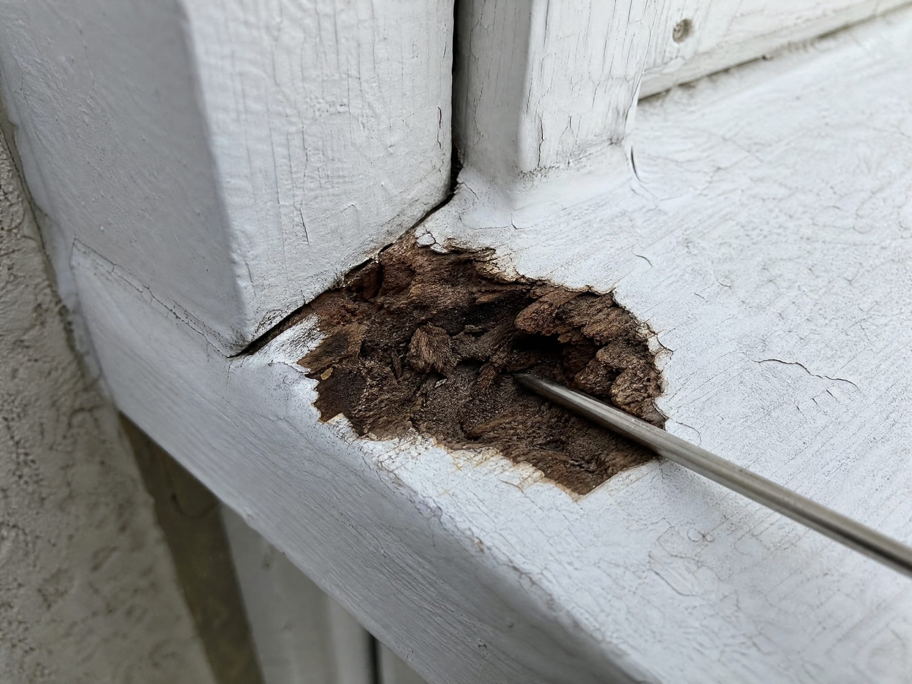A metal awl pushed into a small dark pocket of soft rot at the corner of a painted wooden sill, with firm sound paint and wood clearly surrounding it on every side.